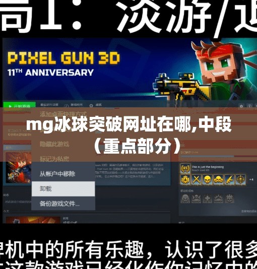 mg冰球突破网址在哪,中段（重点部分）