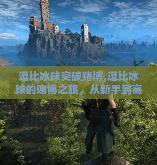 逗比冰球突破赌博,逗比冰球的赌博之旅，从新手到高手的蜕变