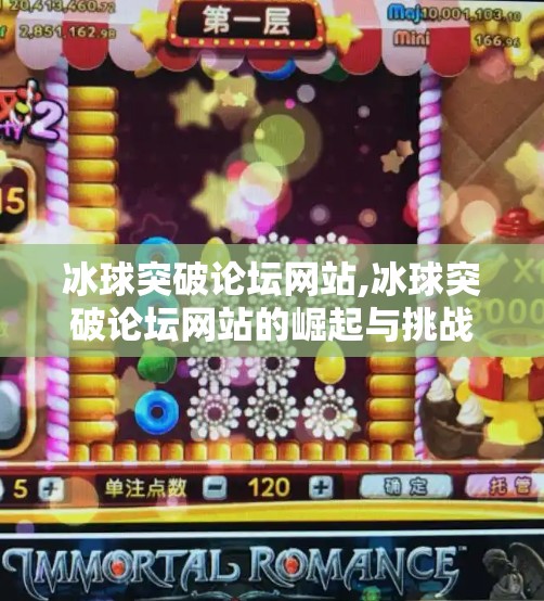 冰球突破论坛网站,冰球突破论坛网站的崛起与挑战