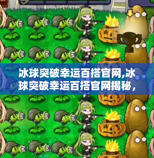 冰球突破幸运百搭官网,冰球突破幸运百搭官网揭秘，娱乐背后的真相与风险警示