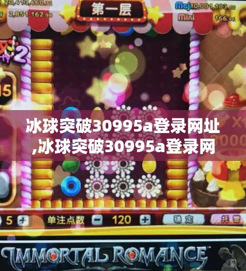 冰球突破30995a登录网址,冰球突破30995a登录网址揭秘，背后的风险与真相，你真的了解它吗？