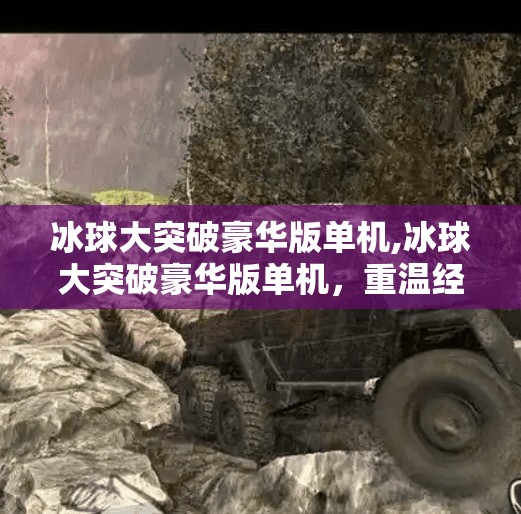 冰球大突破豪华版单机,冰球大突破豪华版单机，重温经典，点燃你的热血竞技魂！