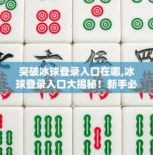 突破冰球登录入口在哪,冰球登录入口大揭秘！新手必看的突破指南，轻松入门这项热血运动！