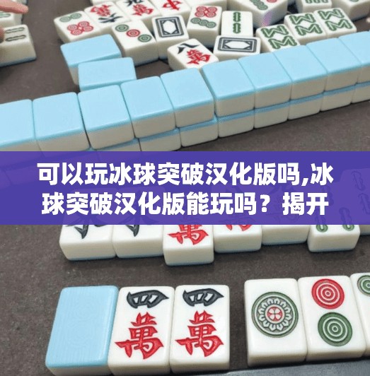可以玩冰球突破汉化版吗,冰球突破汉化版能玩吗？揭开破解游戏的真相与风险！