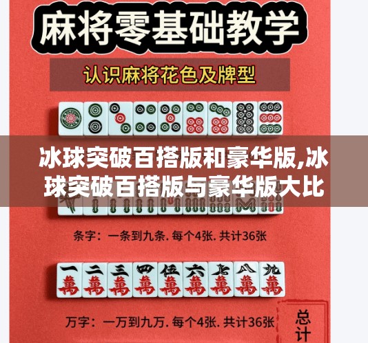 冰球突破百搭版和豪华版,冰球突破百搭版与豪华版大比拼，哪款更适合你？深度测评告诉你答案！