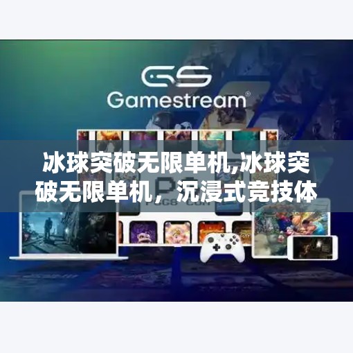 冰球突破无限单机,冰球突破无限单机，沉浸式竞技体验，让热血在指尖沸腾！